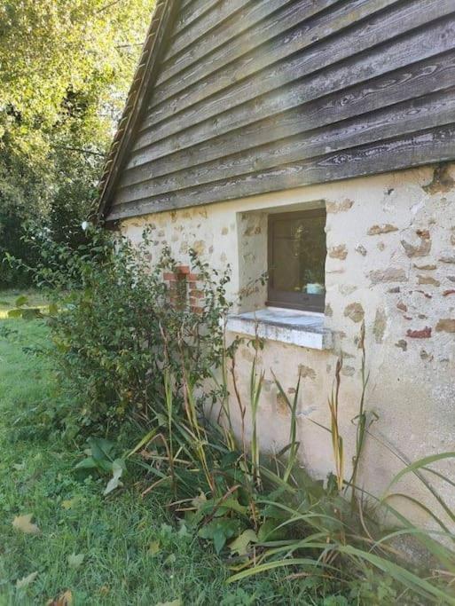 "Reves De Gamins", Gite De Campagne "La Camusiere" Proche Du Pole Europeen Et 24H Champagné Exterior photo
